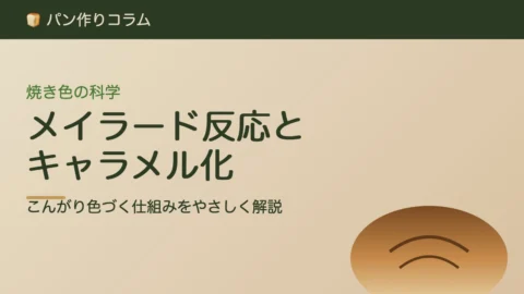 メイラード反応とキャラメル化を解説するコラムの嬉兆オリジナルSVGアイキャッチ