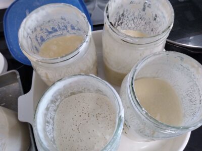瓶の中で発泡するサワー種スターター